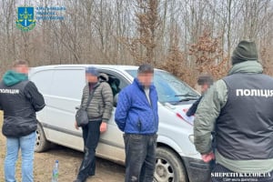Лісники понесуть відповідальність за незаконну порубку та продаж дубів