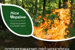 На Шепетівщині заборонено відвідування лісів через надзвичайну пожежну небезпеку