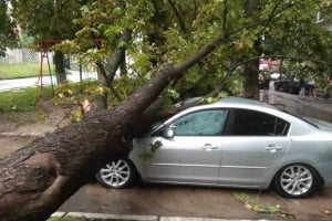 Комунальників зобов'язали відшкодувати майже 80 000 грн власнику автомобіля, на яке впало дерево
