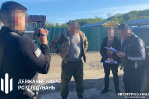 ДБР завершило розслідування щодо «чорних лісорубів» з Шепетівщини