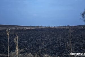 Трагедія на Шепетівщині: спалювання сухої трави призвело до загибелі людини