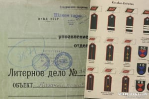 Казачі полки у Шепетівці: чому росія приховує цю історію