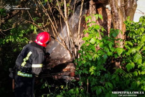 На Шепетівщині нацгвардійці рятували авто, а вогнеборці — житловий будинок