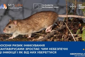 Фіксується збільшення випадків інфікування хантавірусами: чим небезпечні ці інфекції