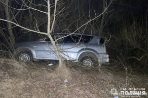 Знесла дитину на узбіччі та пробила їй череп: у Шепетівці винесли вирок водійці
