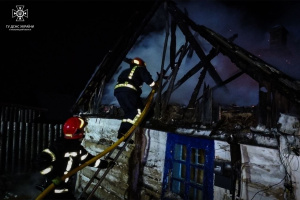 За добу на Шепетівщині рятувальники ліквідовували дві пожежі