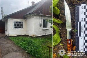Ударив кухонним ножем у груди: на Шепетівщині батька судили за поранення сина