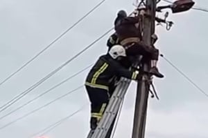 Чоловік виліз на стовп ЛЕП: спустити його на землю довелось рятувальникам