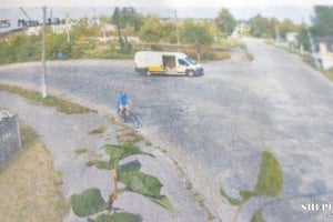 Квіти, коні та спецзавдання: шепетівчанин влаштував тиждень хаосу в районі