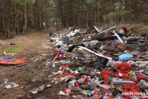 39 вантажних автомобілів сміття вивезли з території «Голубих озер»