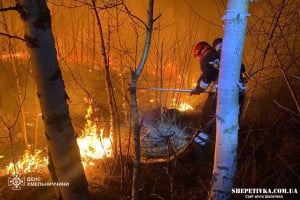 Протягом минулої доби вогнеборці Шепетівщини ліквідували 3 пожежі