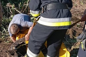 У Шепетівському районі надзвичайники рятували корову
