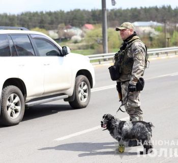 Разом зі своїм чотирилапим напарником шукають вибухівку на Київщині