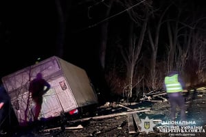 Отримав вирок киянин, який напідпитку вантажівкою в’їхав у підводу