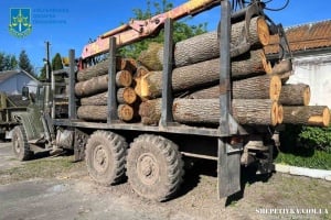 На Шепетівщині комунальне підприємство підозрюють в незаконній вирубці дубів під "кришуванням" правоохоронця