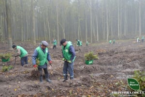 У Климентовицькому лісництві долучилися до масштабної всесвітньої акції з висадки дерев