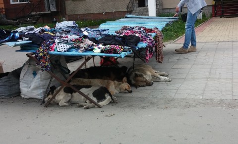 Йшов третій день Пасхи