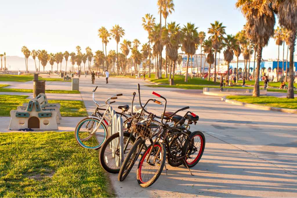 Venice Beach in Los Angeles California 1024x683