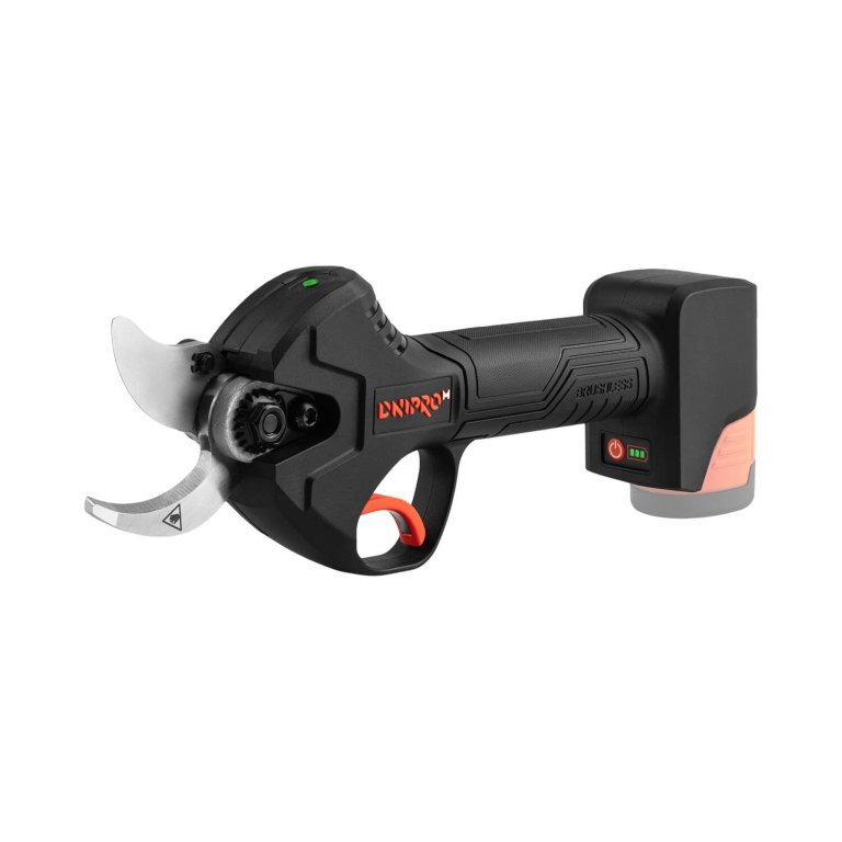 catalog origin 504991