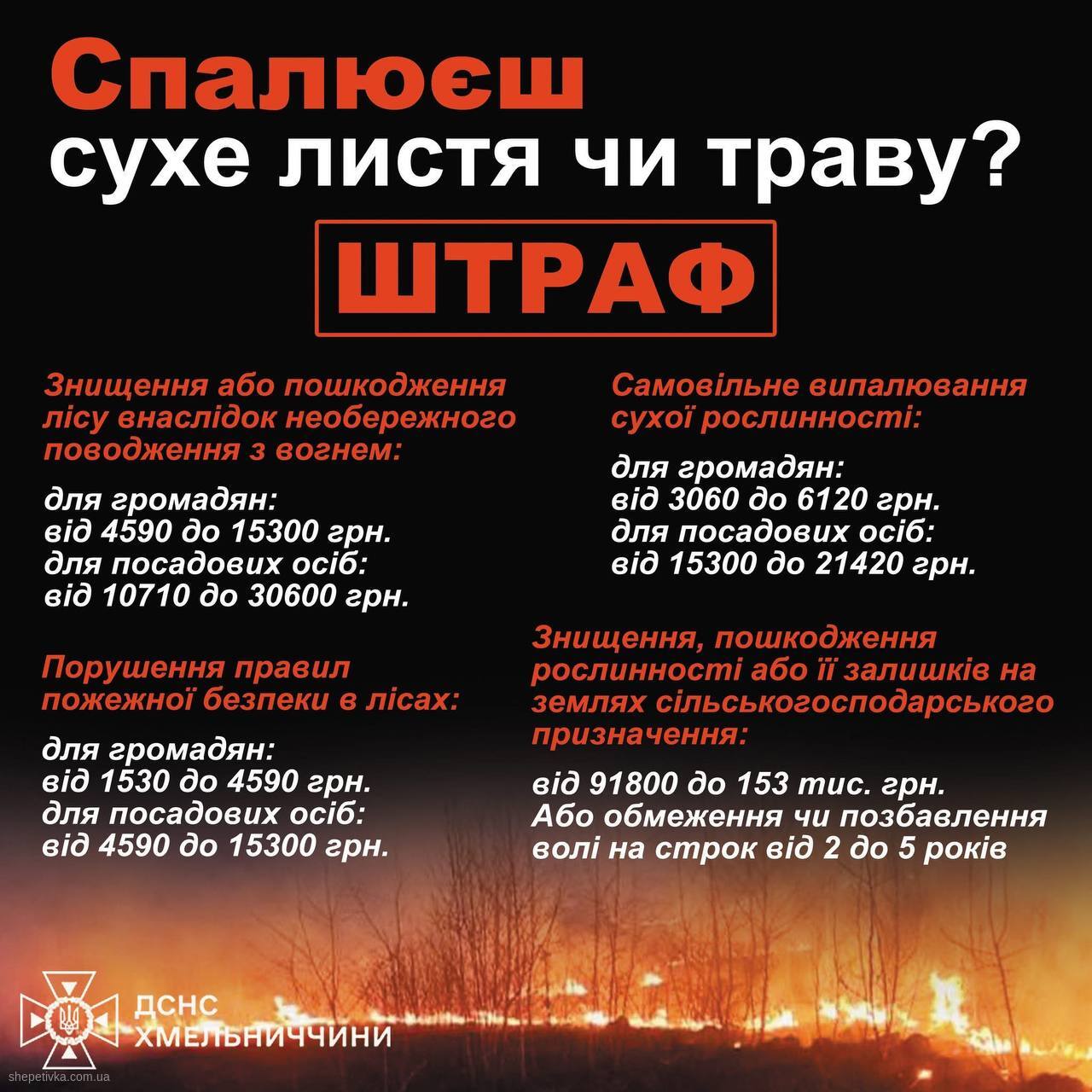 photo 2026 03 16 12 19 32