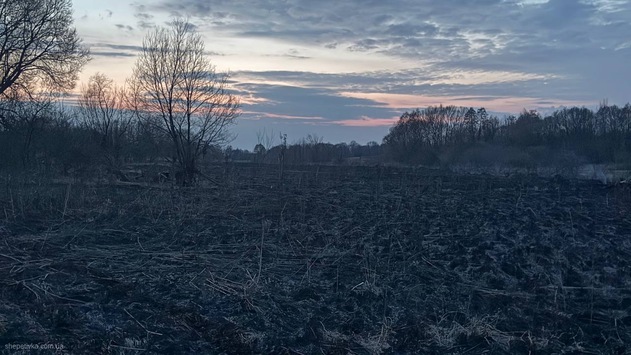 photo 2026 03 27 12 15 42 2