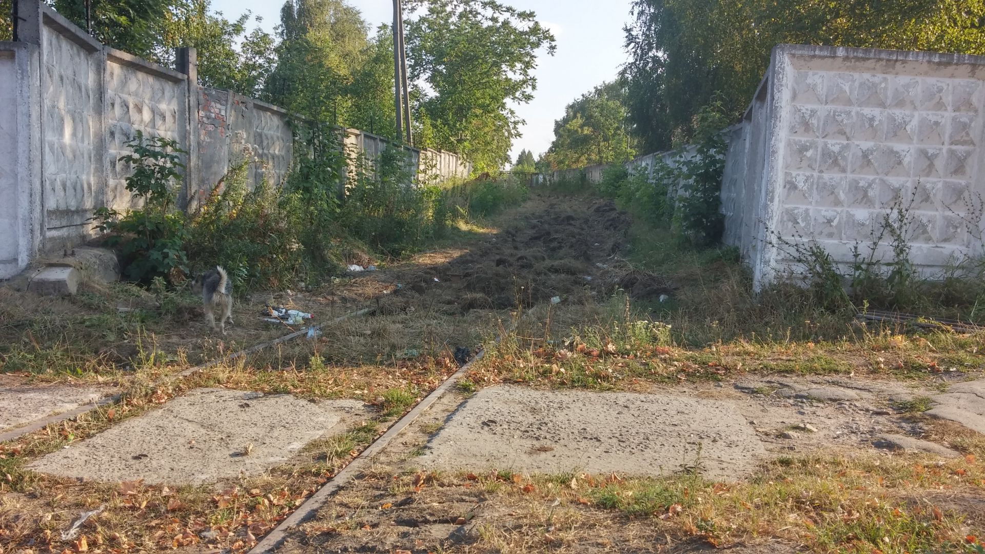 20150816_174314_HDR.jpg