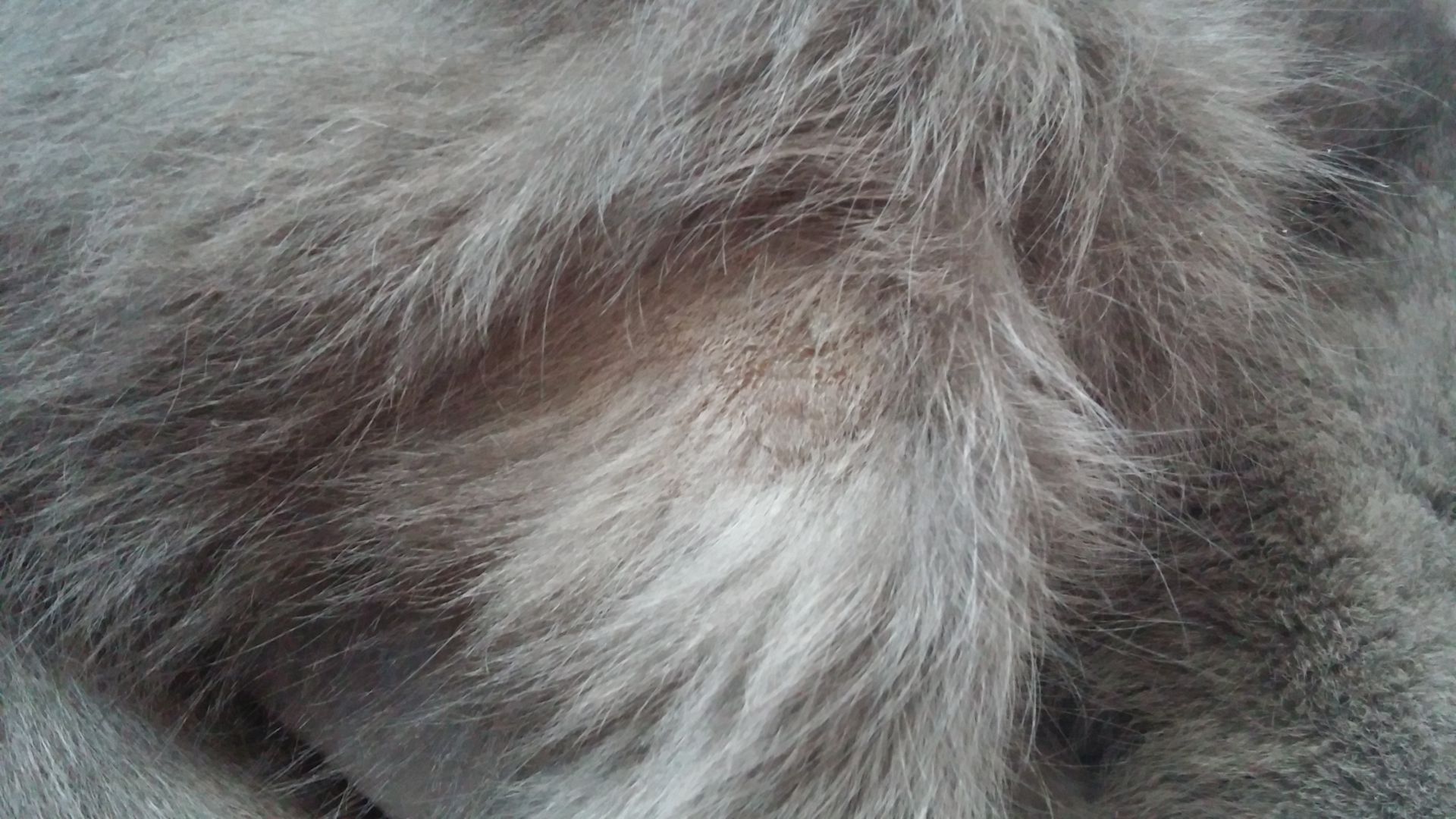 20160122_143115.jpg
