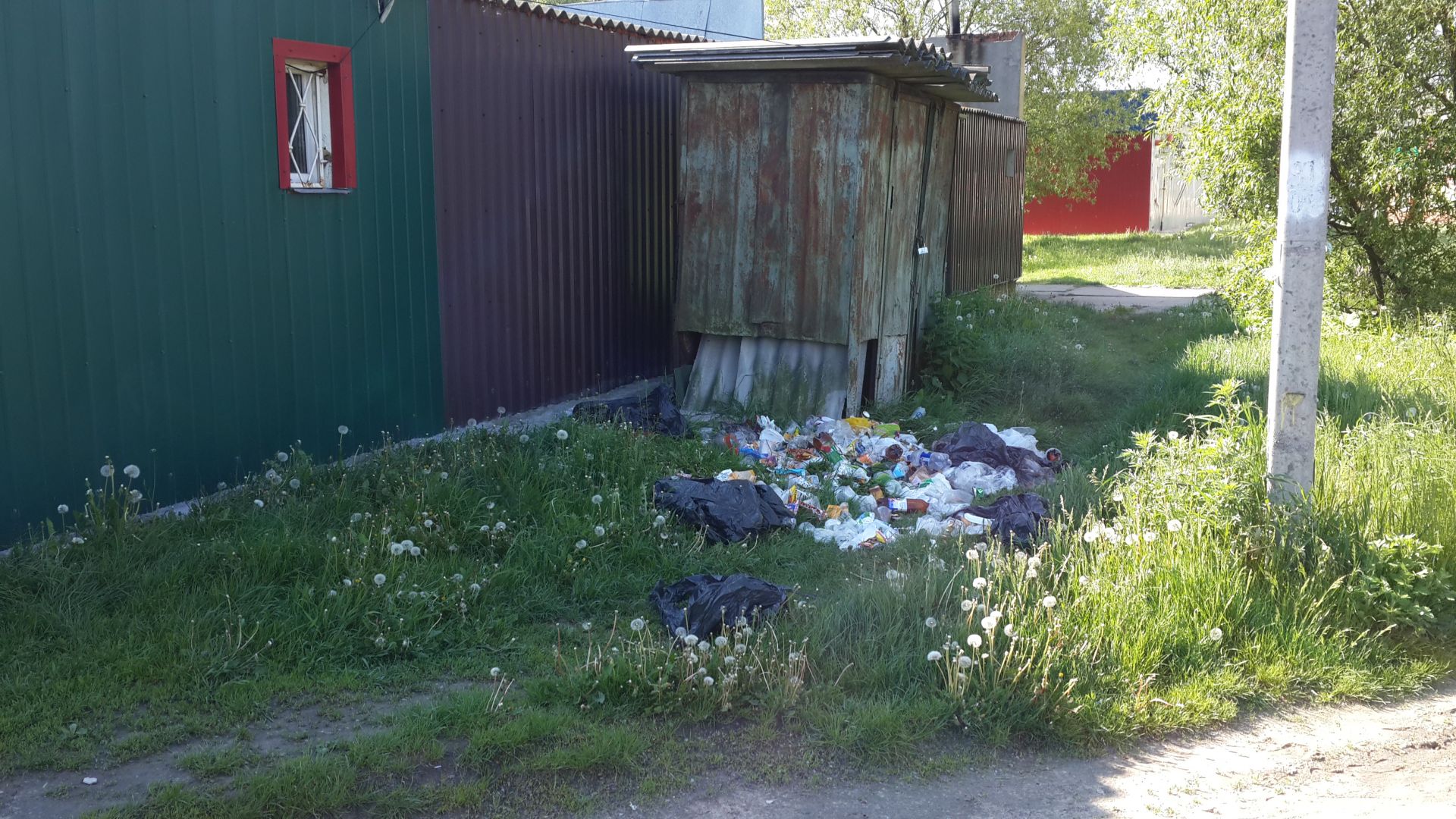 20160517_091134.jpg