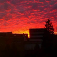 ormonovalena@gmail.com