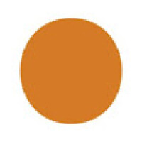 ostrog.rayon@gmail.com