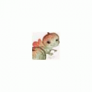 kitovasvetlana