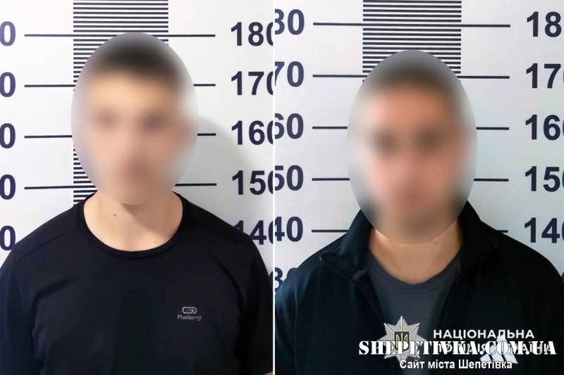 Жорстоко побили 71-річного пенсіонера та його товариша: у Шепетівці перед судом постануть двоє молодиків
