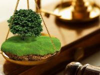 Майже 250 тис грн відсудила Шепетівська міська рада у боржника за оренду землі