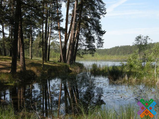 Знайомство з Шепетівщиною: озеро Святе – найбільше озеро області