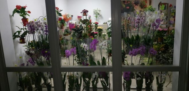 У Шепетівці пограбували квітковий магазин