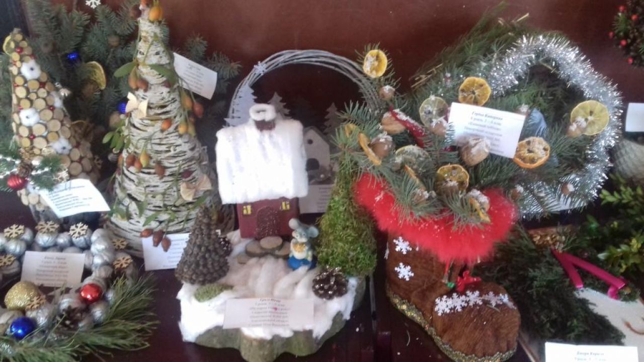 Шепетівський ЦЕНТУМ запрошує мешканців на виставку новорічних композицій