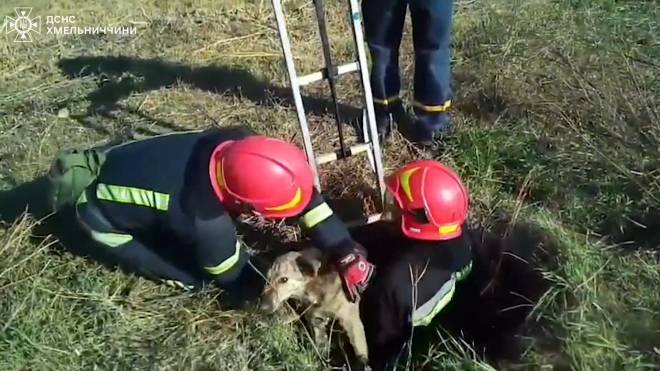 У Ізяславі рятувальники піднімали на поверхню песика (відео)