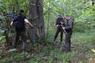 Дендрохронологія та вплив клімату: науковці НАН України дослідили вікові дерева на Шепетівщині