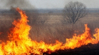 Суха трава займалась двічі