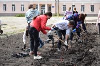 На площі Героїв Майдану мають висадити 2600 кущів троянд