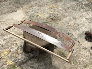 На пенсіонерку впала сосна, яку за її проханням зрізали односельці