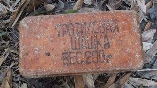 Чоловік розгулював містом з тротилом