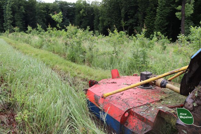 Механізація у лісовому господарстві Шепетівщини: який агрегат змінив підхід до догляду за висадженими лісами