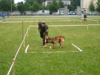 Відбулись обласні змагання з багатоборства кінологів-тюремників