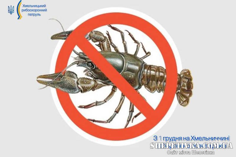 Сьогодні почала діяти заборона на вилов річкових раків на Хмельниччині