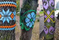 У Шепетівській гімназії №5 вбрали у вишиванки дерева (відео)