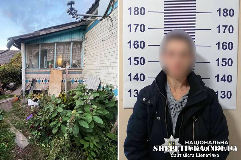 На Шепетівщині 44-річна жінка вдарила ножем у груди свого співмешканця