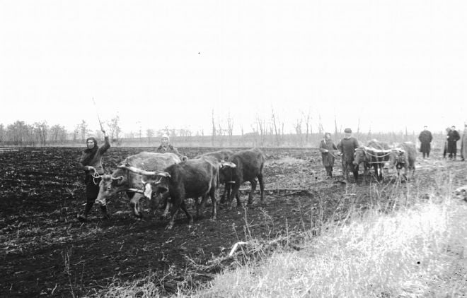 Квітень 1946 року. 