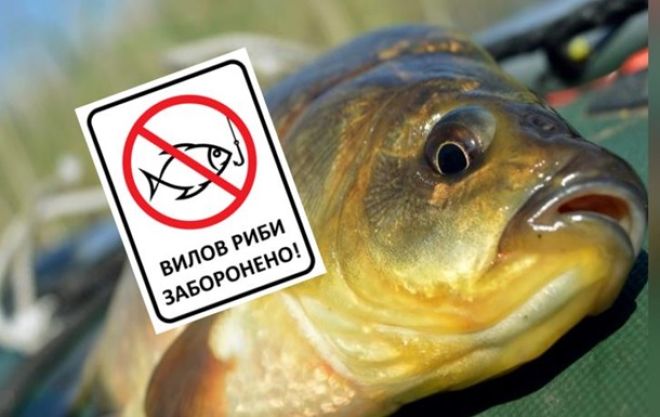 З 1 листопада на Хмельниччині заборонено рибалити на зимувальних ямах