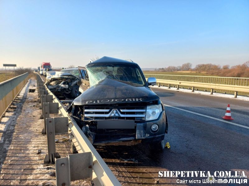 Мешканка Шепетівщини не впоралась з керуванням та спричинила трагічне ДТП